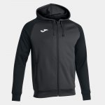 Load image into Gallery viewer, Joma Academy IV Full Zip Hoodie Juniors