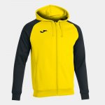 Load image into Gallery viewer, Joma Academy IV Full Zip Hoodie Juniors