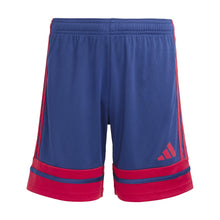 Load image into Gallery viewer, Adidas Squadra 25 Shorts (Adults)