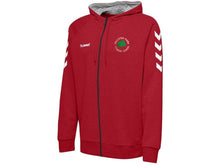 Load image into Gallery viewer, Women’s Pallister Park Full Zip Hoodie