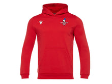 Load image into Gallery viewer, Tees Valley Judo Hoodie